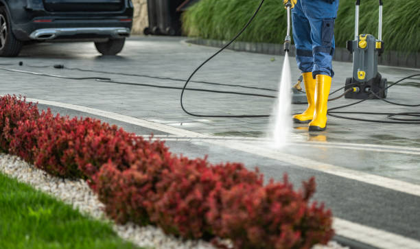 Best Pressure Washing Driveway  in Clermont, FL