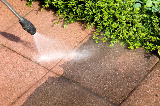 Best Exterior Home Cleaning  in Clermont, FL